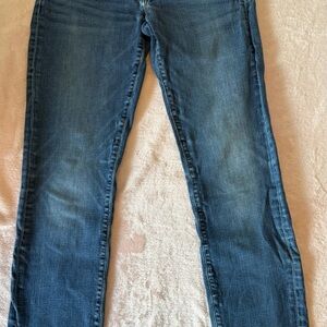 American Eagle Outfitters Dark Blue Straight Leg Jeans